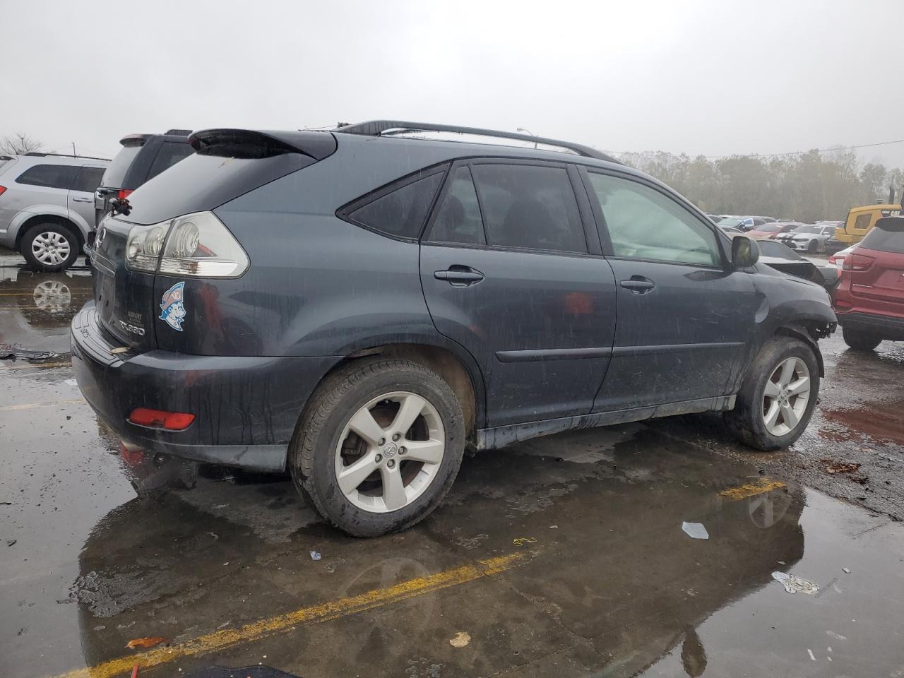 2004 LEXUS Rx 330