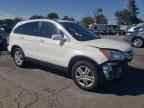 2010 HONDA CR-V