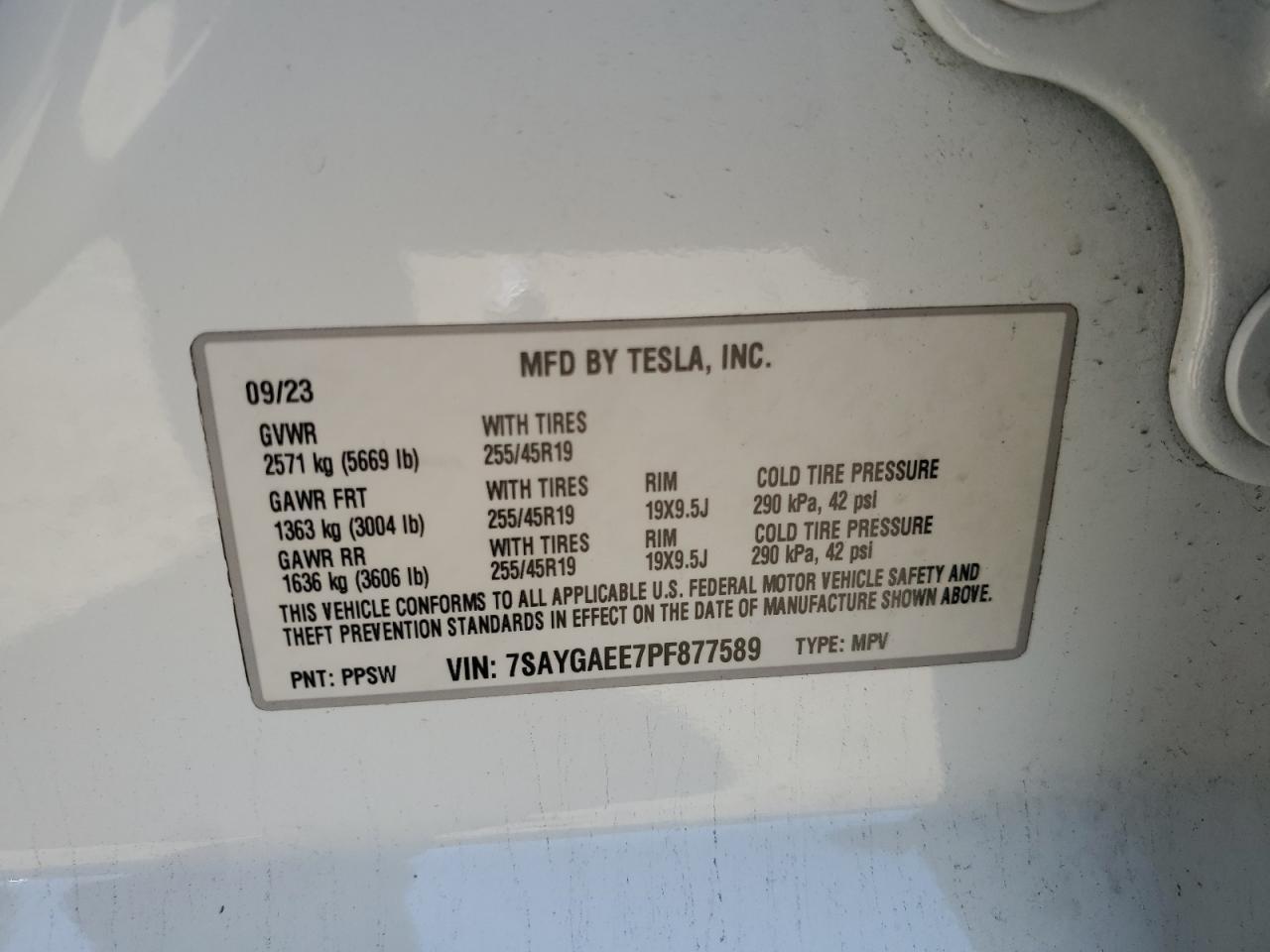 2023 TESLA MODEL Y