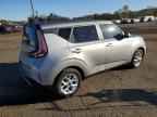 2025 KIA SOUL