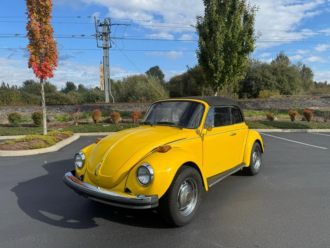 1979 VOLKSWAGEN Beetle