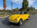 1979 VOLKSWAGEN Beetle