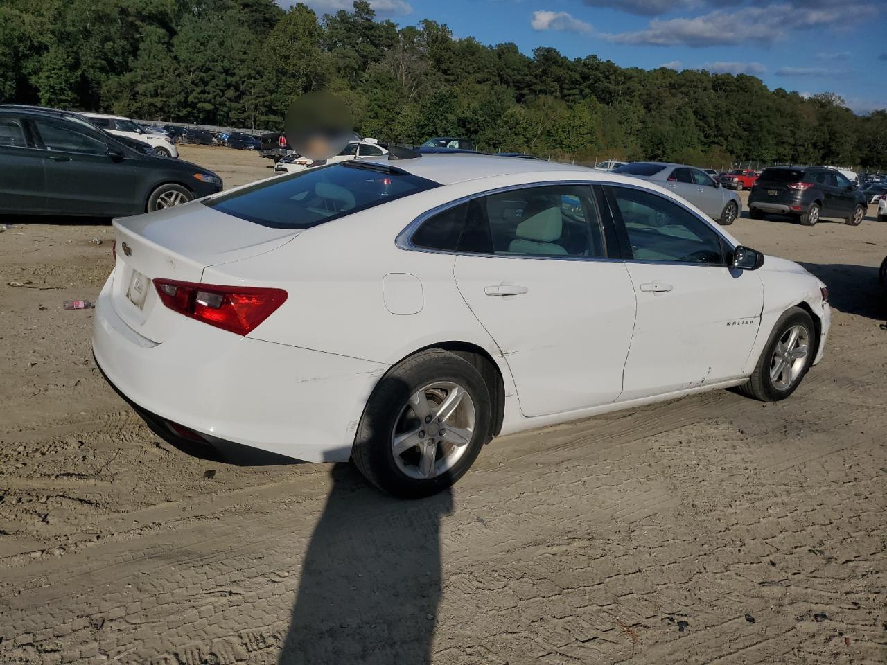 2019 CHEVROLET MALIBU