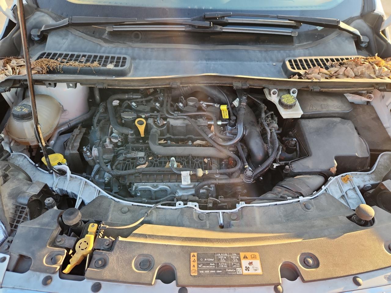 2019 FORD ESCAPE