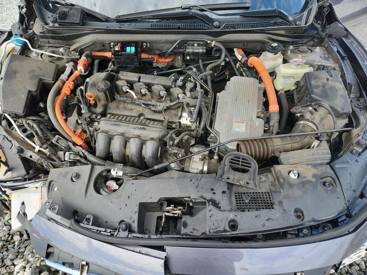 2021 HONDA Insight