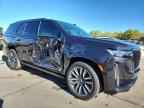 2024 CADILLAC ESCALADE