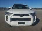 2021 TOYOTA 4Runner