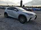 2019 LEXUS Nx