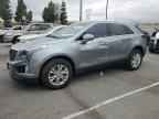 2024 CADILLAC XT5