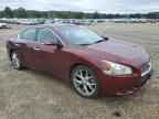 2010 NISSAN Maxima