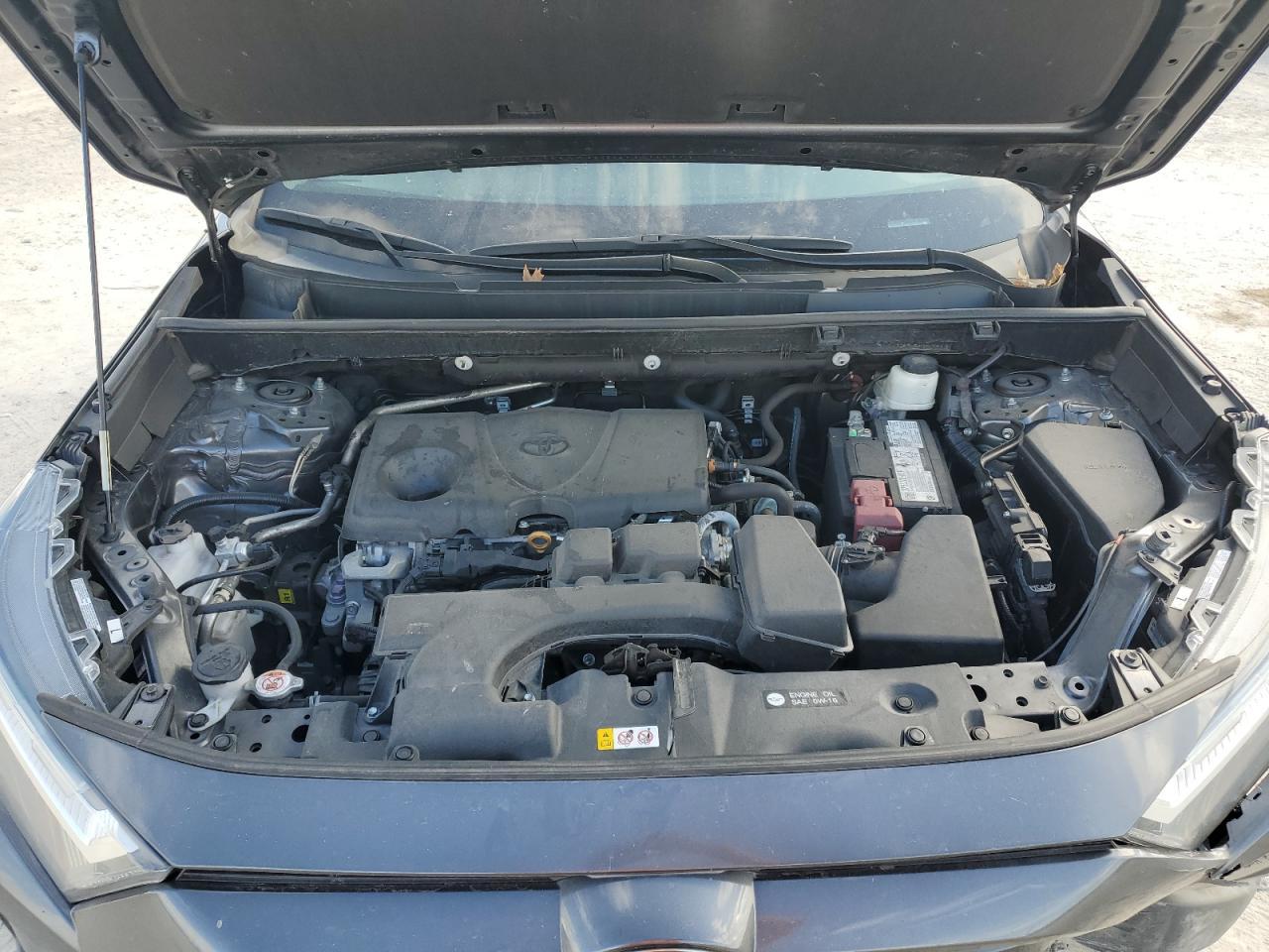 2023 TOYOTA RAV4