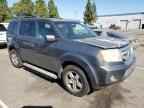 2011 HONDA PILOT
