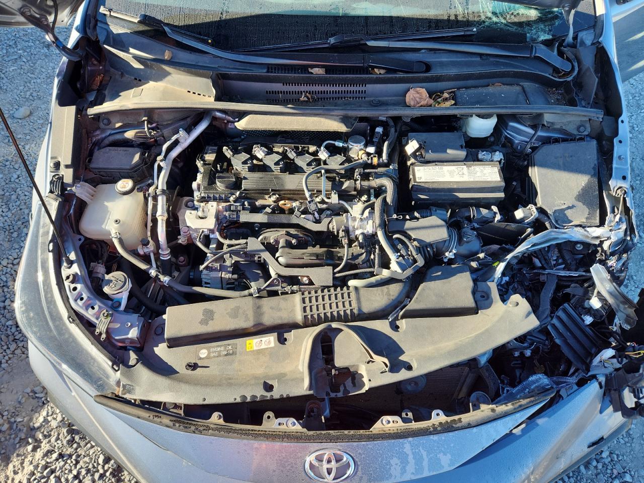 2020 TOYOTA COROLLA