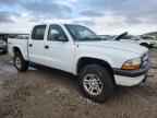 2004 DODGE Dakota