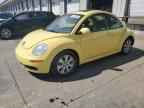 2009 VOLKSWAGEN Beetle
