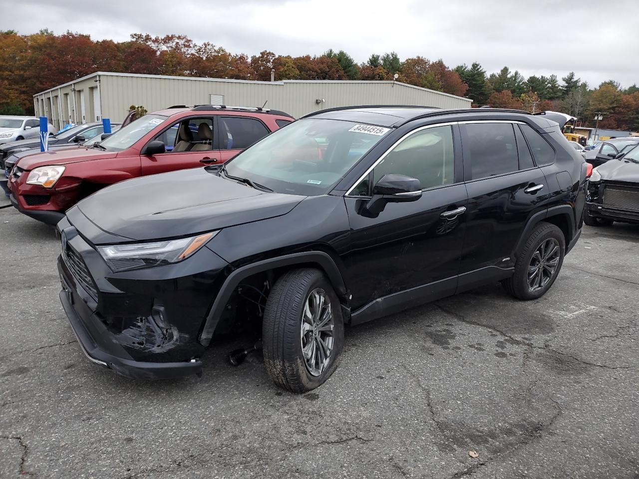 2024 TOYOTA RAV4