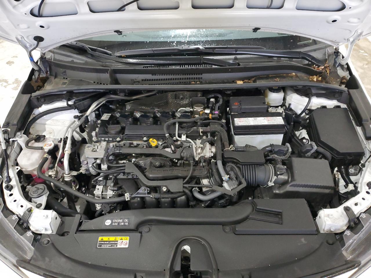 2023 TOYOTA COROLLA