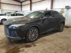 2024 LEXUS Rx