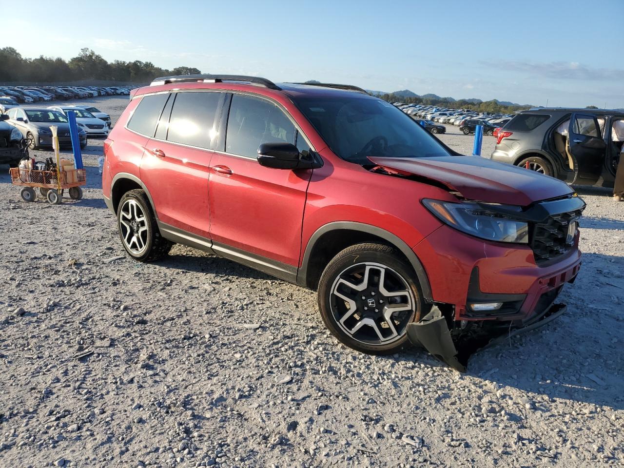 2023 HONDA Passport