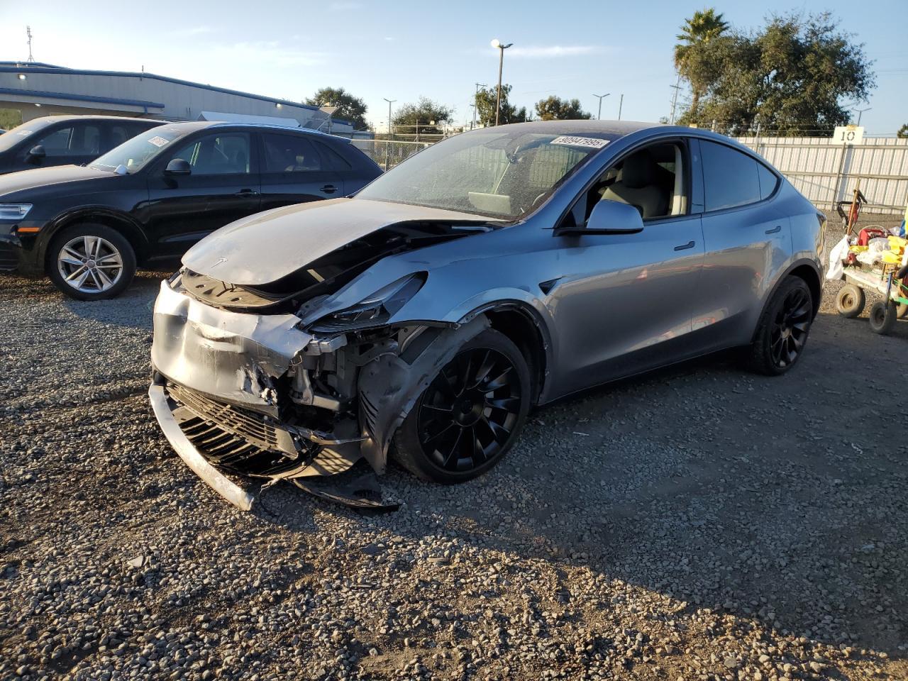 2024 TESLA MODEL Y