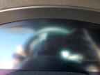 2023 BMW M5