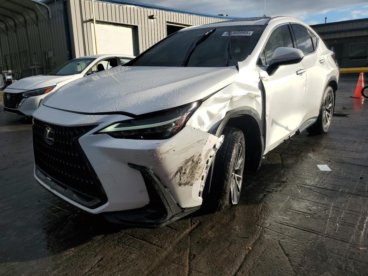 2024 LEXUS NX 250