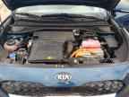 2020 KIA Niro