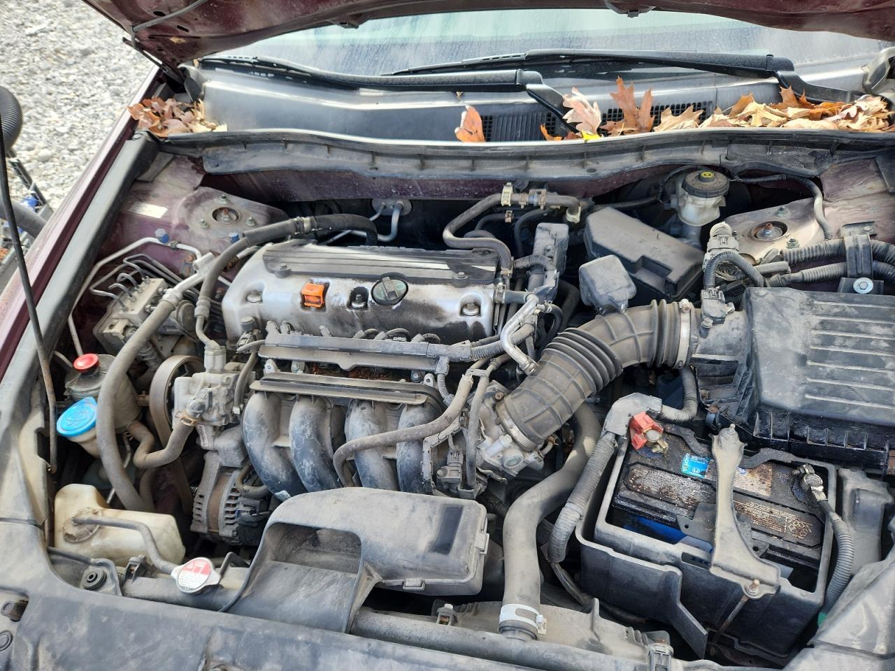 2009 HONDA ACCORD