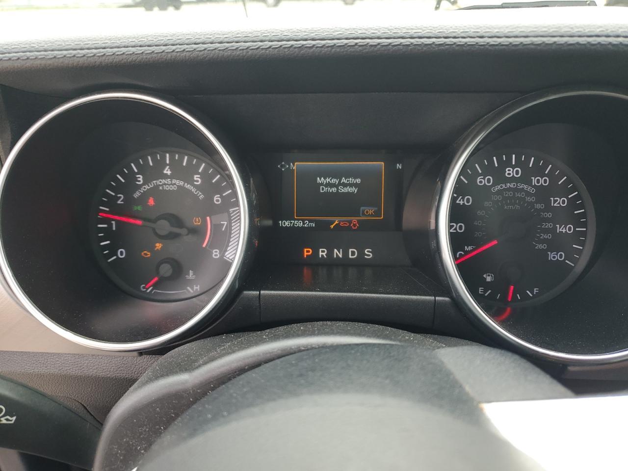 2019 FORD MUSTANG