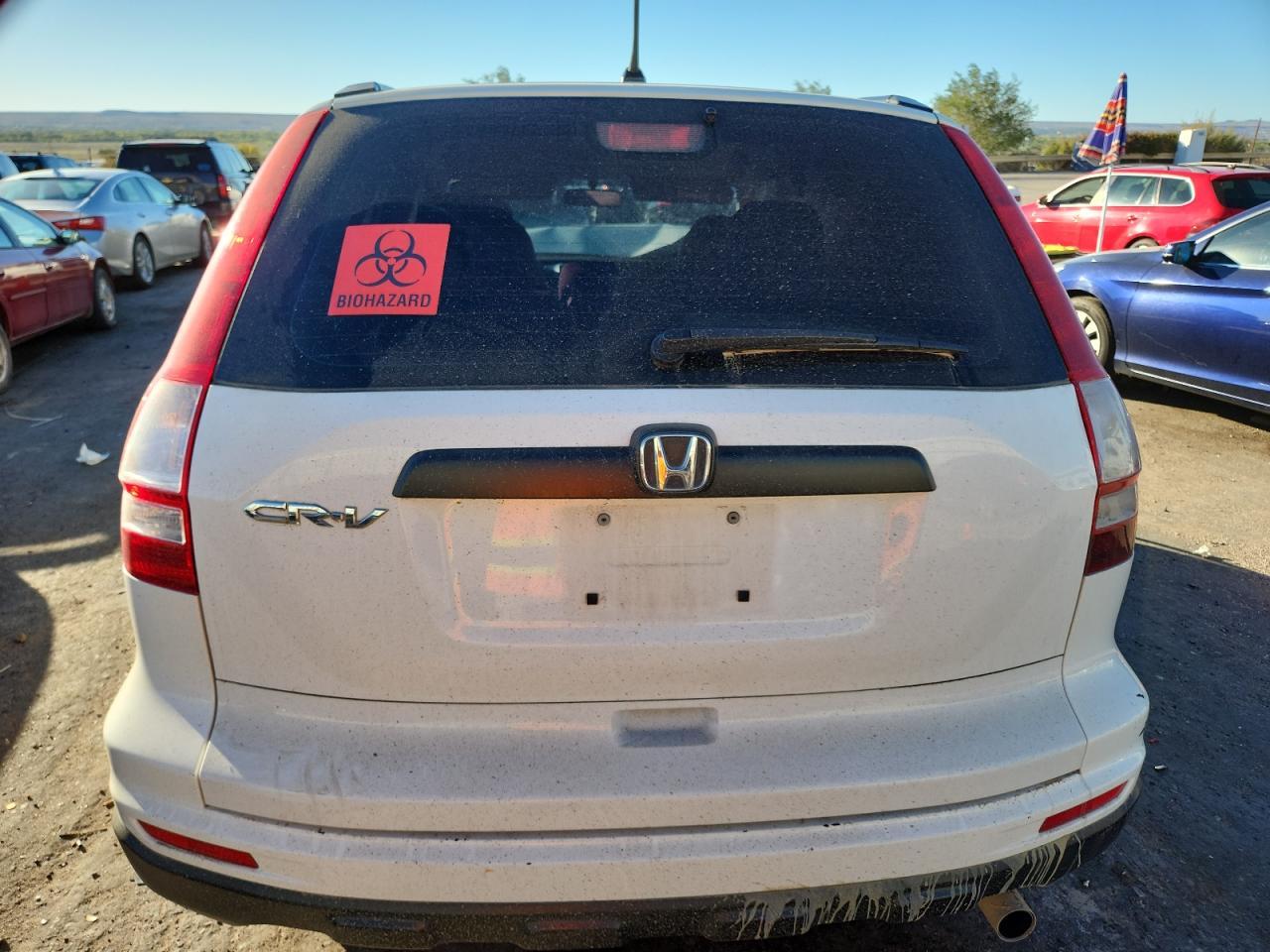 2010 HONDA CR-V