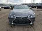 2024 LEXUS ES 350