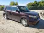2009 TOYOTA SCION