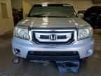 2009 HONDA PILOT