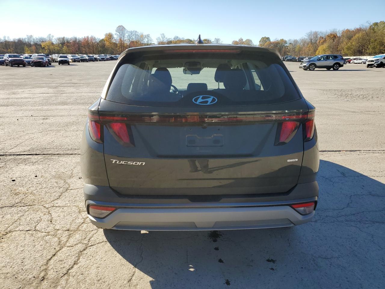 2025 HYUNDAI TUCSON