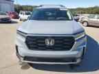2023 HONDA PILOT