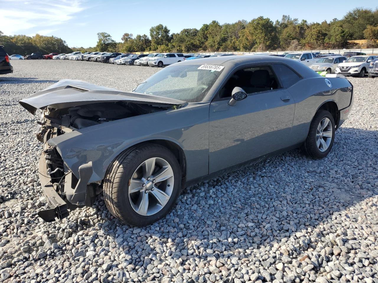 2019 DODGE Challenger