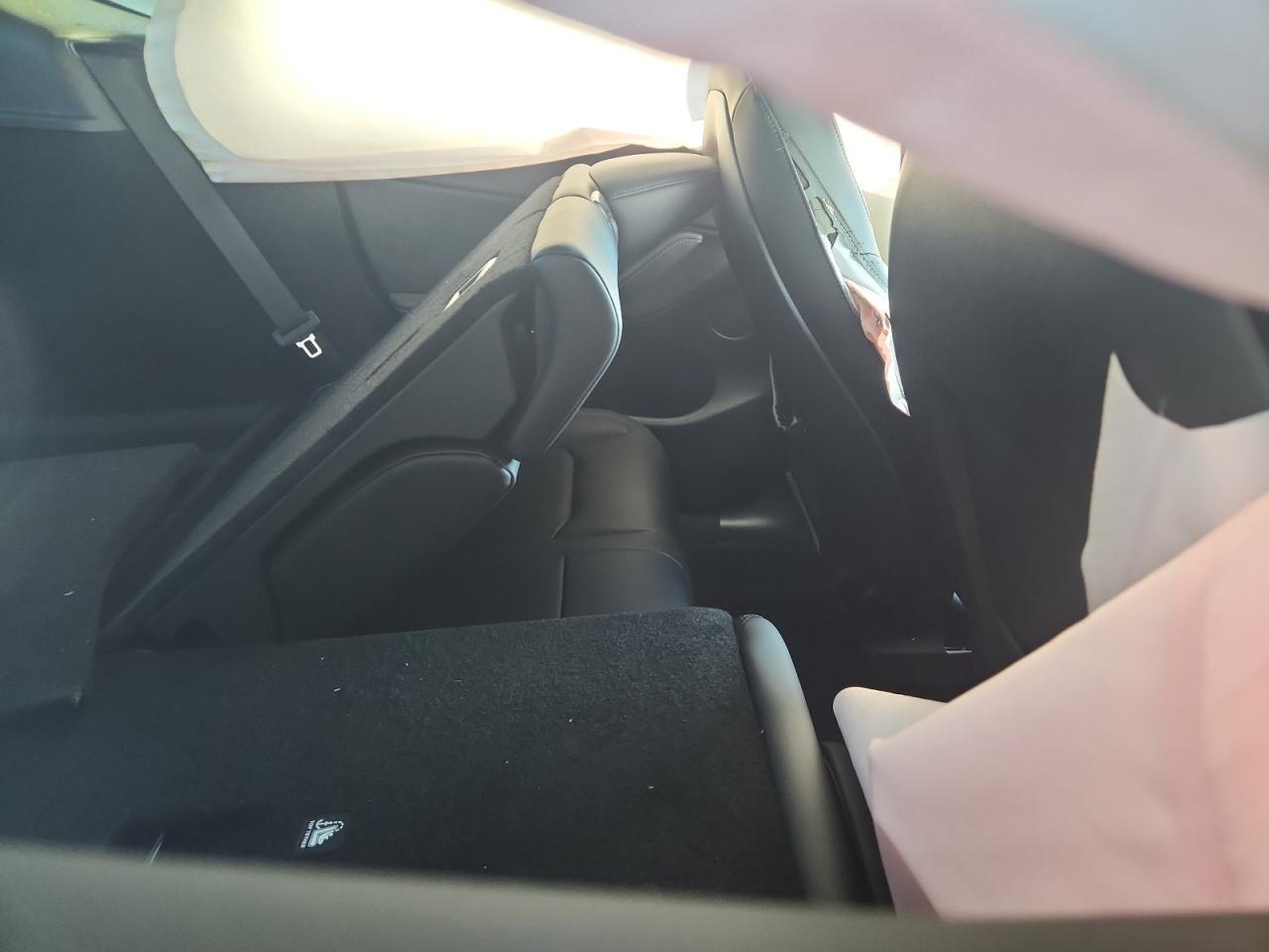 2025 TESLA MODEL Y