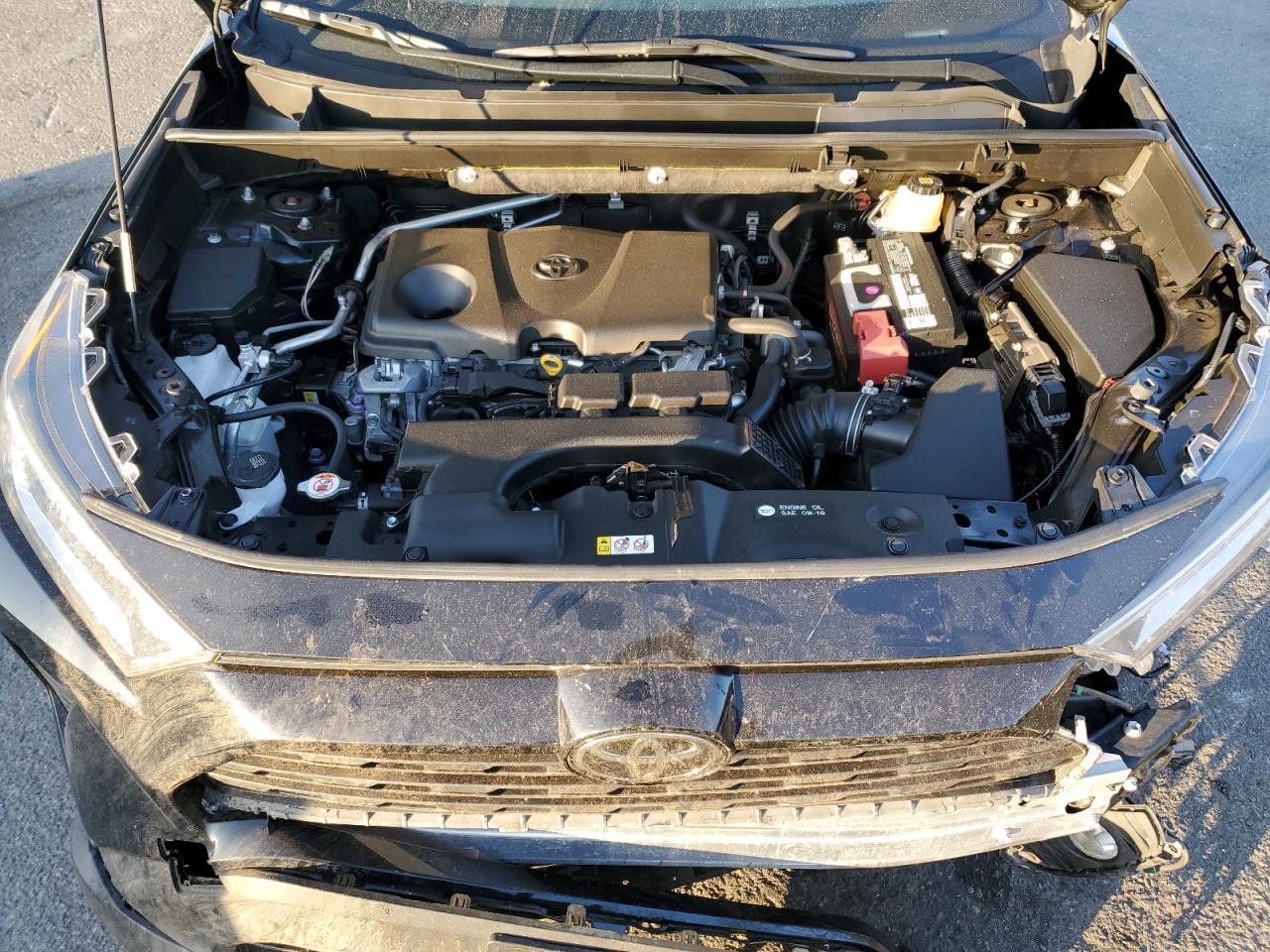 2019 TOYOTA RAV4