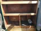 2003 CHEVROLET Express 3500