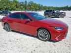 2025 LEXUS ES 300H