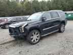2020 CADILLAC ESCALADE
