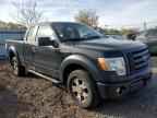 2009 FORD F-150