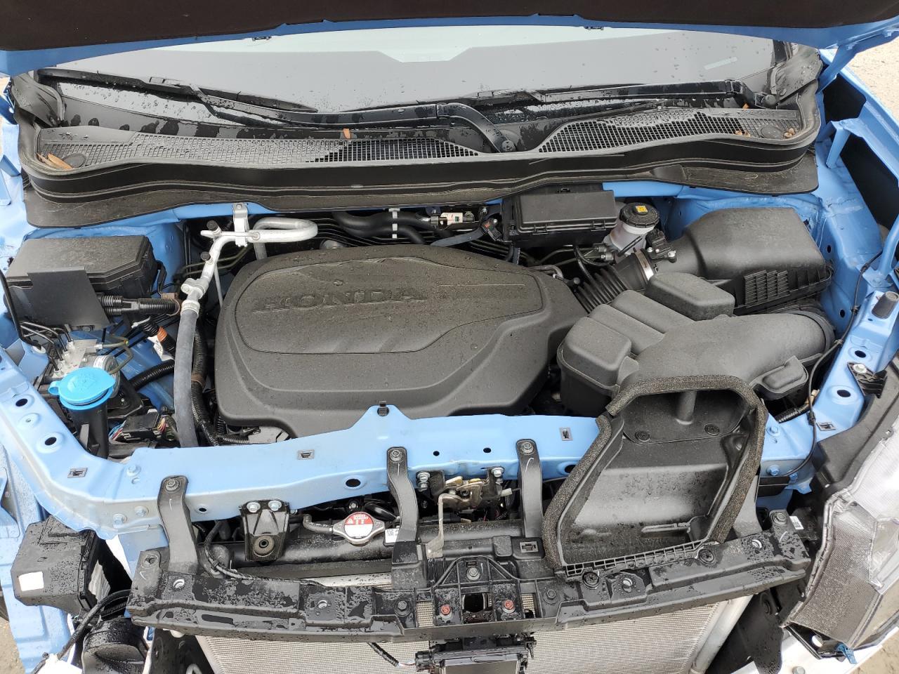 2025 HONDA Passport