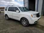 2013 HONDA PILOT