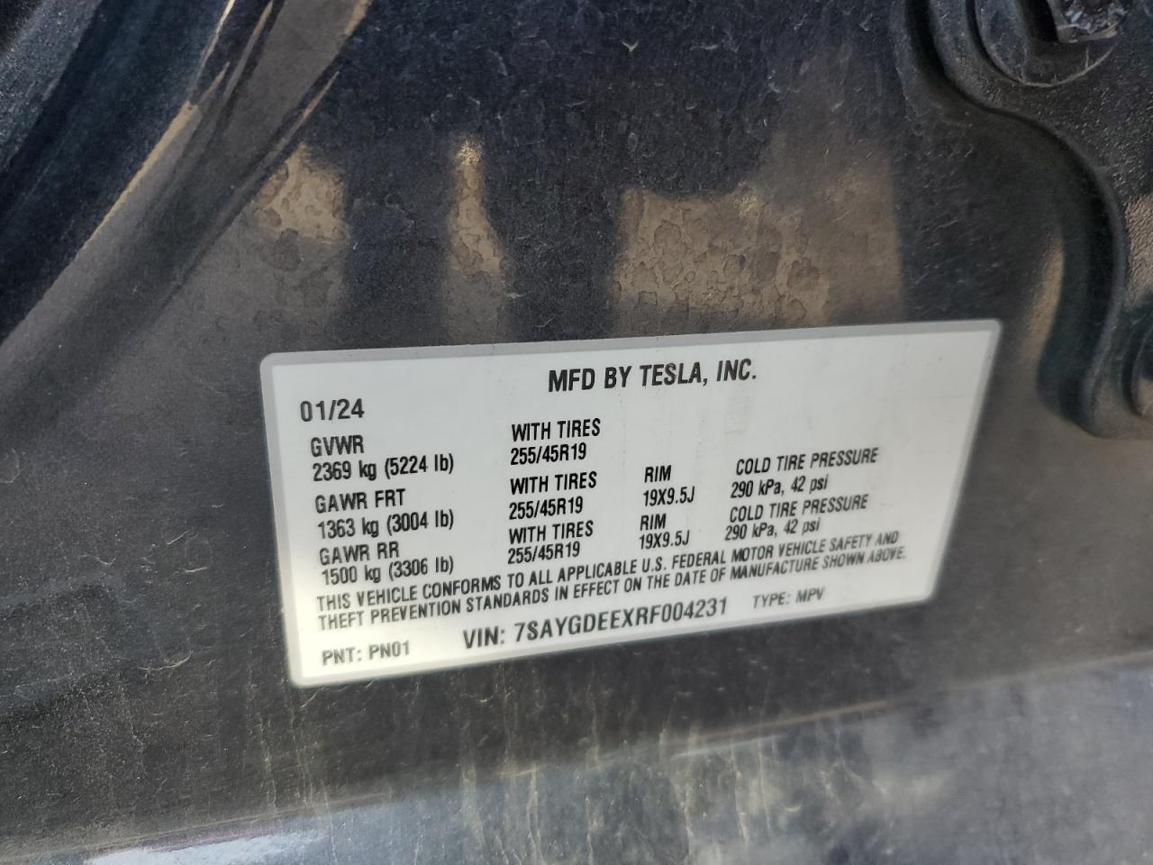 2024 TESLA MODEL Y