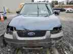 2006 FORD ESCAPE