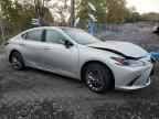 2023 LEXUS Es