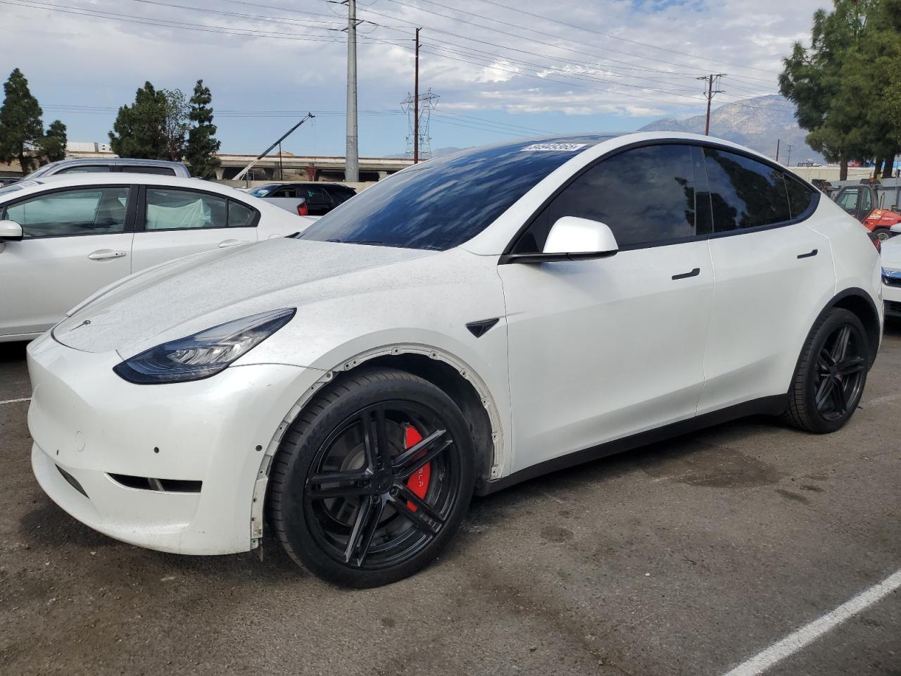 2020 TESLA MODEL Y