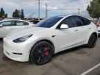 2020 TESLA MODEL Y