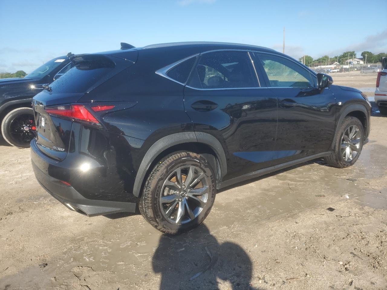 2019 LEXUS NX 300
